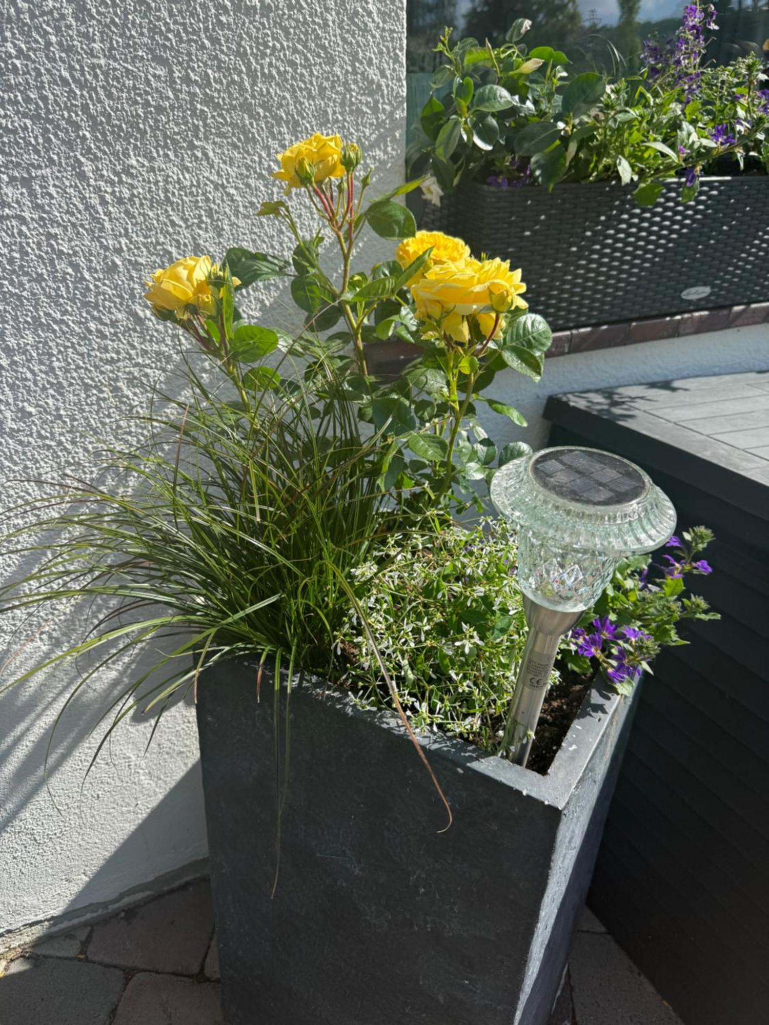 Hotel Pension Haus Talblick Edersee Hemfurth-Edersee ภายนอก รูปภาพ